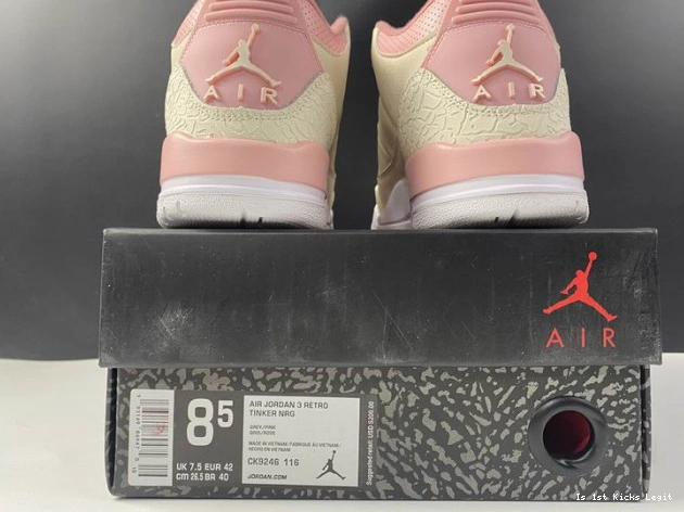 CK9246-116 (W) 3 Jordan Air Sail Retro Pink Rust 0711